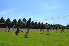 11013456_951966554870748_5915871301581489853_o