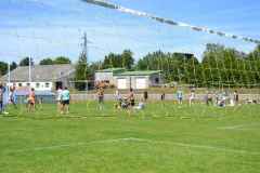 11026175_951967474870656_2422340256337577791_o