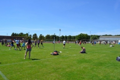 11539187_951966734870730_2830570503299957733_o