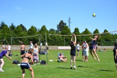 11699006_951967441537326_614148145923737767_o