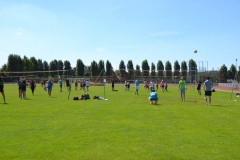 11700897_951966004870803_6766632052469183465_o