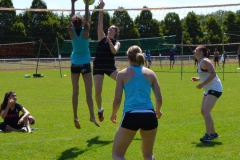 11713941_951966371537433_8985394984632861153_o