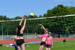 11722435_951966344870769_7458225058307765879_o