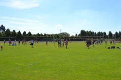 11722471_951965994870804_26880161781456594_o